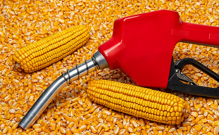 Fuel at the cost of food security isn’t sustainable